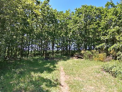 Aire de pique-nique du Lac des Bruyères à Bertholène, Office de Tourisme des Causses à l'Aubrac