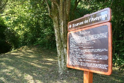 Aire de pique-nique aux Sources de l'Aveyron , Office de Tourisme des Causses à l'Aubrac