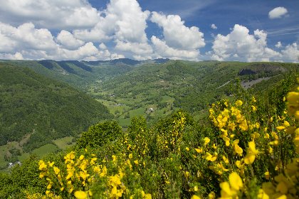 Cyclotourisme : Circuit - Les monts du cantal, OFFICE DE TOURISME DU CANTON DE MUR DE BARREZ