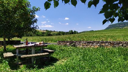 Aire de pique-nique , OFFICE DE TOURISME LARZAC VALLEES