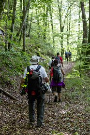Le château de Messilhac, OFFICE DE TOURISME DU CANTON DE MUR DE BARREZ
