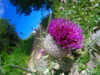 Randonnée : La chapelle de Manhaval, OFFICE DE TOURISME DU CANTON DE MUR DE BARREZ