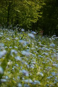 Randonnée : le vallon de Brommat, OFFICE DE TOURISME DU CANTON DE MUR DE BARREZ