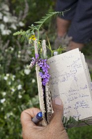 Randonnée : Le village templier de Nigresserre, OFFICE DE TOURISME DU CANTON DE MUR DE BARREZ
