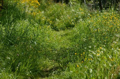 Randonnée : le vallon d'Albinhac, OFFICE DE TOURISME DU CANTON DE MUR DE BARREZ