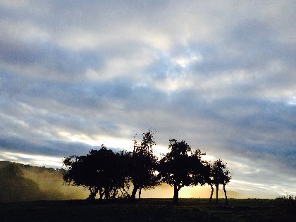 Randonnée : le vallon d'Albinhac, OFFICE DE TOURISME DU CANTON DE MUR DE BARREZ