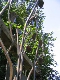 Randonnée : le bois de Murols, OFFICE DE TOURISME DU CANTON DE MUR DE BARREZ