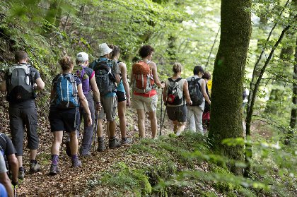 Randonnée : le bois de Murols, OFFICE DE TOURISME DU CANTON DE MUR DE BARREZ