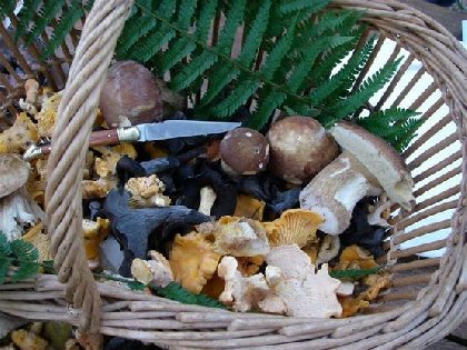 Randonnée : le site de Ronesque, OFFICE DE TOURISME DU CANTON DE MUR DE BARREZ