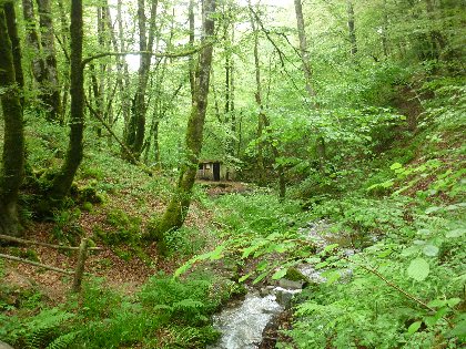 Randonnée : le site de Ronesque, OFFICE DE TOURISME DU CANTON DE MUR DE BARREZ