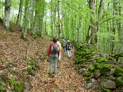 Randonnée : de Mur-de-Barrez à Thérondels (et retour), OFFICE DE TOURISME DU CANTON DE MUR DE BARREZ