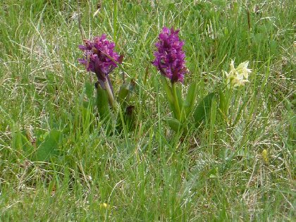 Randonnée : de Mur-de-Barrez à Thérondels (et retour), OFFICE DE TOURISME DU CANTON DE MUR DE BARREZ