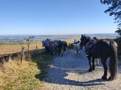 CASSANDRA, Monitrice d'équitation, Cassandra Monitrice Equitation