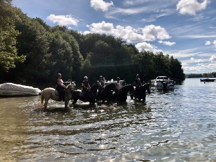 CASSANDRA, Monitrice d'équitation, Cassandra Monitrice Equitation