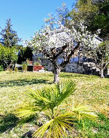 Jardin, VILLETTE Vincent