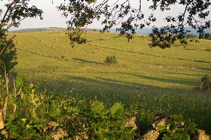 Itinéraire de la Trans-Aubrac, Office de Tourisme des Causses à l'Aubrac