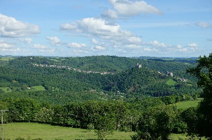 la Forêt souriante - Gîte Albizia, La Forêt Souriante