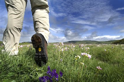 La Maison du Plein Air (groupes), La Maison du Plein Air