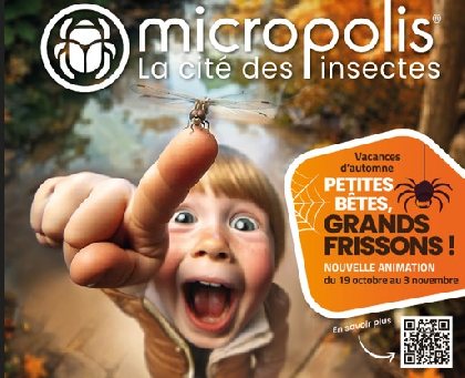 Visites de MICROPOLIS - octobre 2024