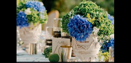 Le Mas Rolland, Le Mas Rolland