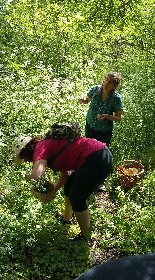 Besoin de Nature - Cuisine et Nature, Besoin et Nature