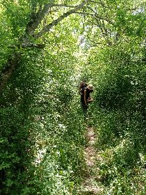 Besoin de Nature - Cuisine et Nature, Besoin et Nature