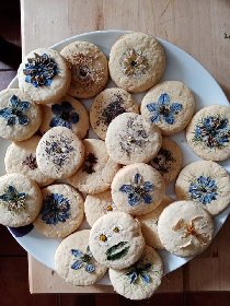 Besoin de Nature - Cuisine et Nature, Besoin et Nature