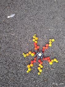 Besoin de Nature  - Balade artistico poétique, Besoin et Nature