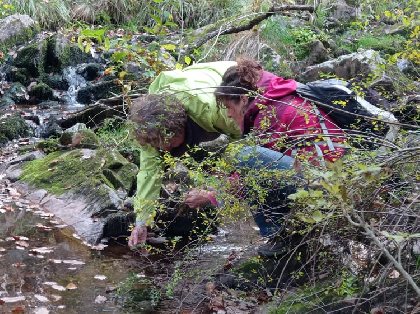 Besoin de Nature  (Groupes), Besoin et Nature