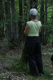 Besoin de Nature  (Groupes), Besoin et Nature