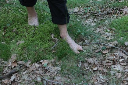 Besoin de Nature  (Groupes), OFFICE DE TOURISME DU GRAND RODEZ