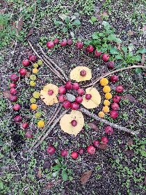 Besoin de Nature  (Groupes), Besoin et Nature