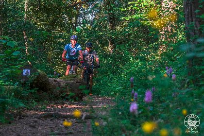 Circuit VTT La Source du Durzon - St-Alban, Virginie Govignon - OFFICE DE TOURISME LARZAC VALLEES