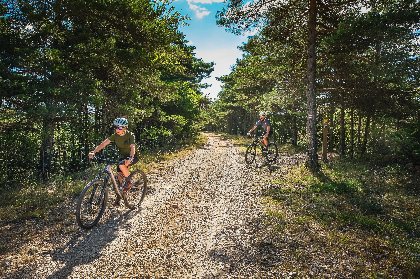 Circuit VTT De La Baraque Froide à La Blaquèrerie, OFFICE DE TOURISME LARZAC VALLEES