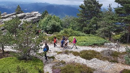 MILLEFEUILLES - Accompagnement randonnées et organisation de séjours, Office de Tourisme Rougier d'Aveyron Sud