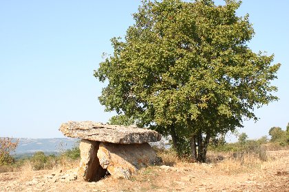 La Maison des Dolmens (groupes), Office de Tourisme des Causses à l'Aubrac