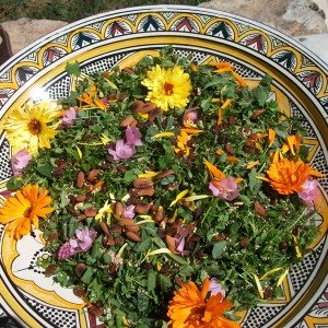 Meublé de Peyro Traxo, OT Villefranche-Najac