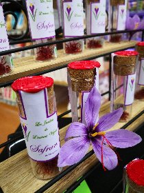 Les jardins de l'instant végétal, Les jardins de l'instant végétal