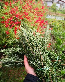 Les jardins de l'instant végétal, Les jardins de l'instant végétal