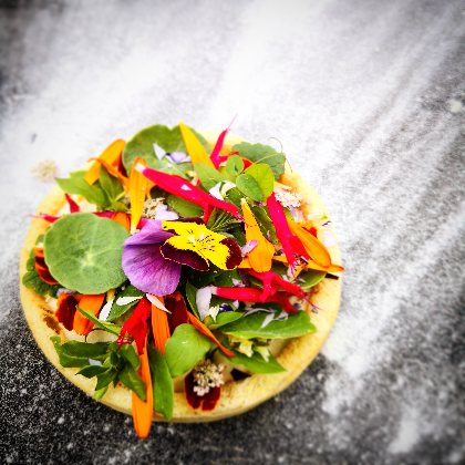 Les jardins de l'instant végétal, Les jardins de l'instant végétal