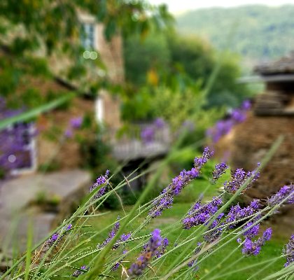 Gîte le Soulié du Tarn, Villa Théo , Gîte du Soulié