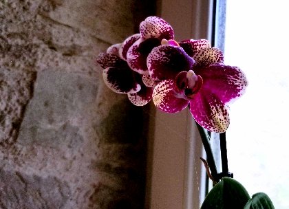 Gîte du Soulié, Gîte du Soulié