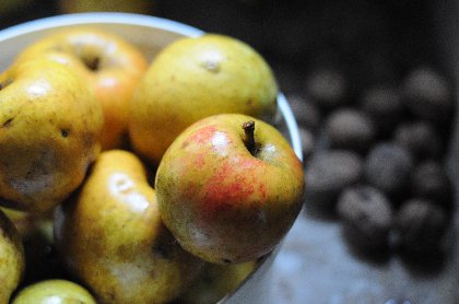 Gîte du Soulié, Gîte du Soulié