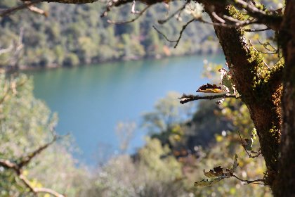 Gîte du Soulié, Gîte du Soulié