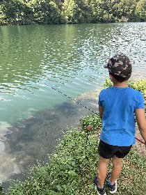 Découvrir le village de Lincou, OFFICE DE TOURISME DU REQUISTANAIS