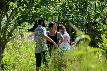 Atelier initiation à la permaculture, Le Presbytere
