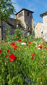 Prairie fleurie, Le Presbytere