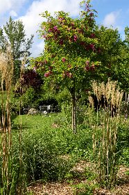 Biodiversité, Le Presbytere