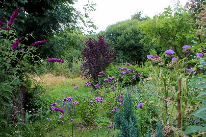 Végétation opulente, Le Presbytere