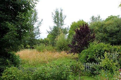 Ecosystème qui s'inspire de la nature, Le Presbytere